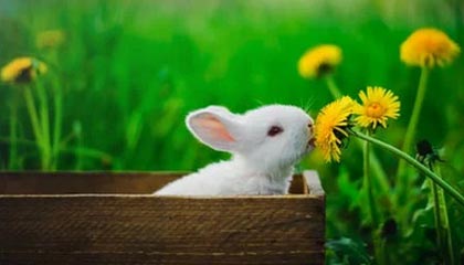 开云体育App-T1发布对阵KT赛后采访：第二局选手们没有丧失专注力很棒